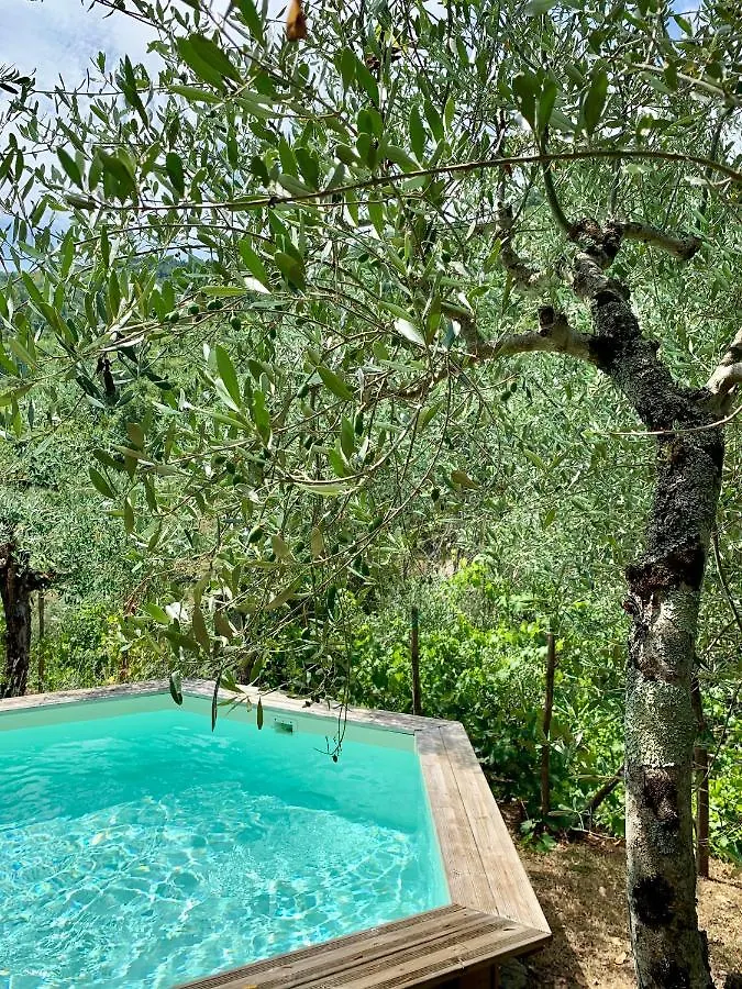 Casa Toppole Anghiari