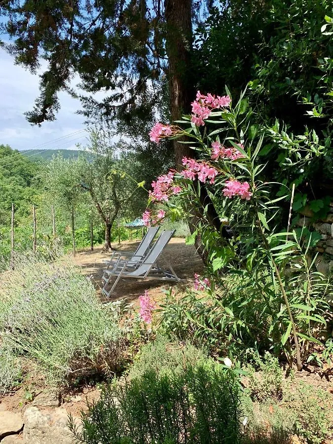 Casa Toppole Anghiari Italy