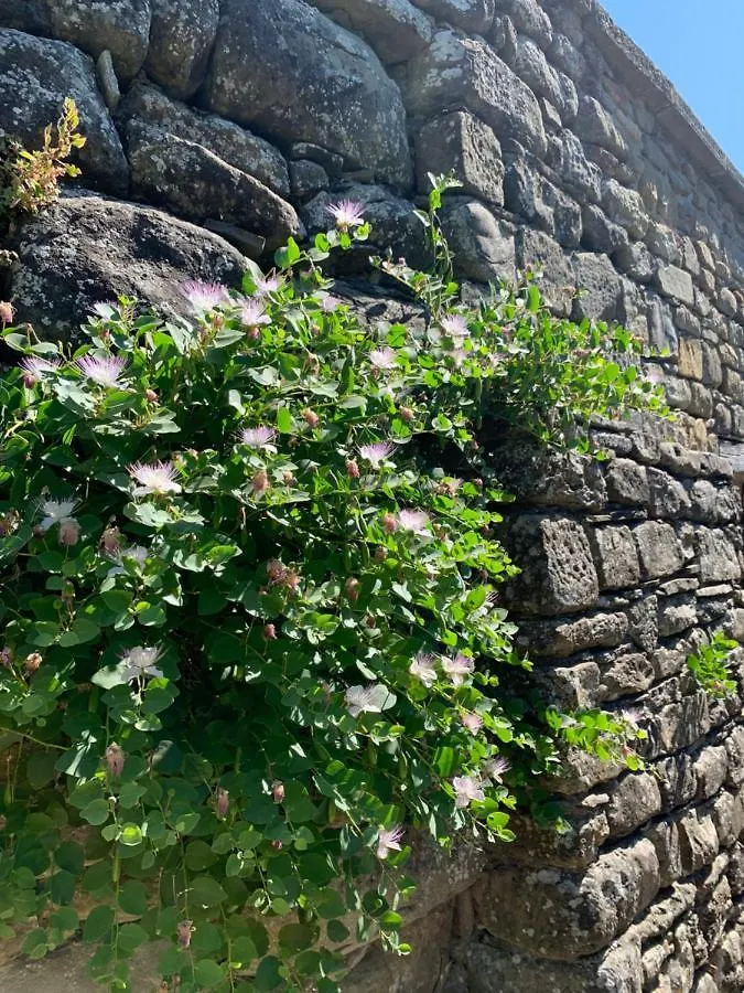 Casa Toppole Anghiari Holiday home