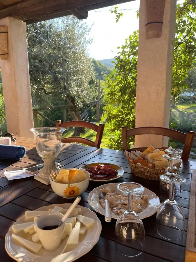 Casa Toppole Anghiari Holiday home