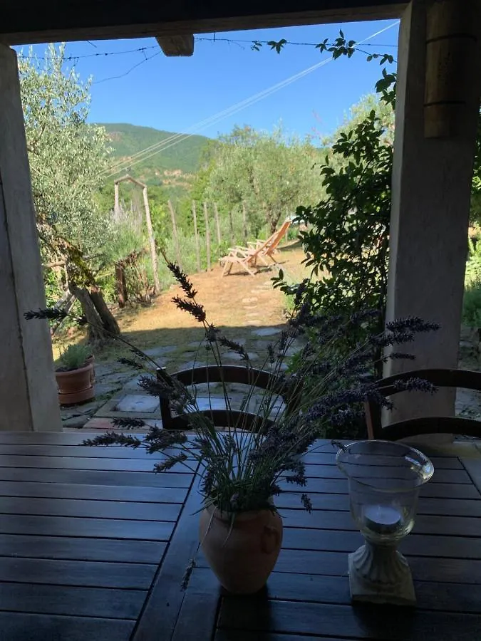 Holiday home Casa Toppole Anghiari