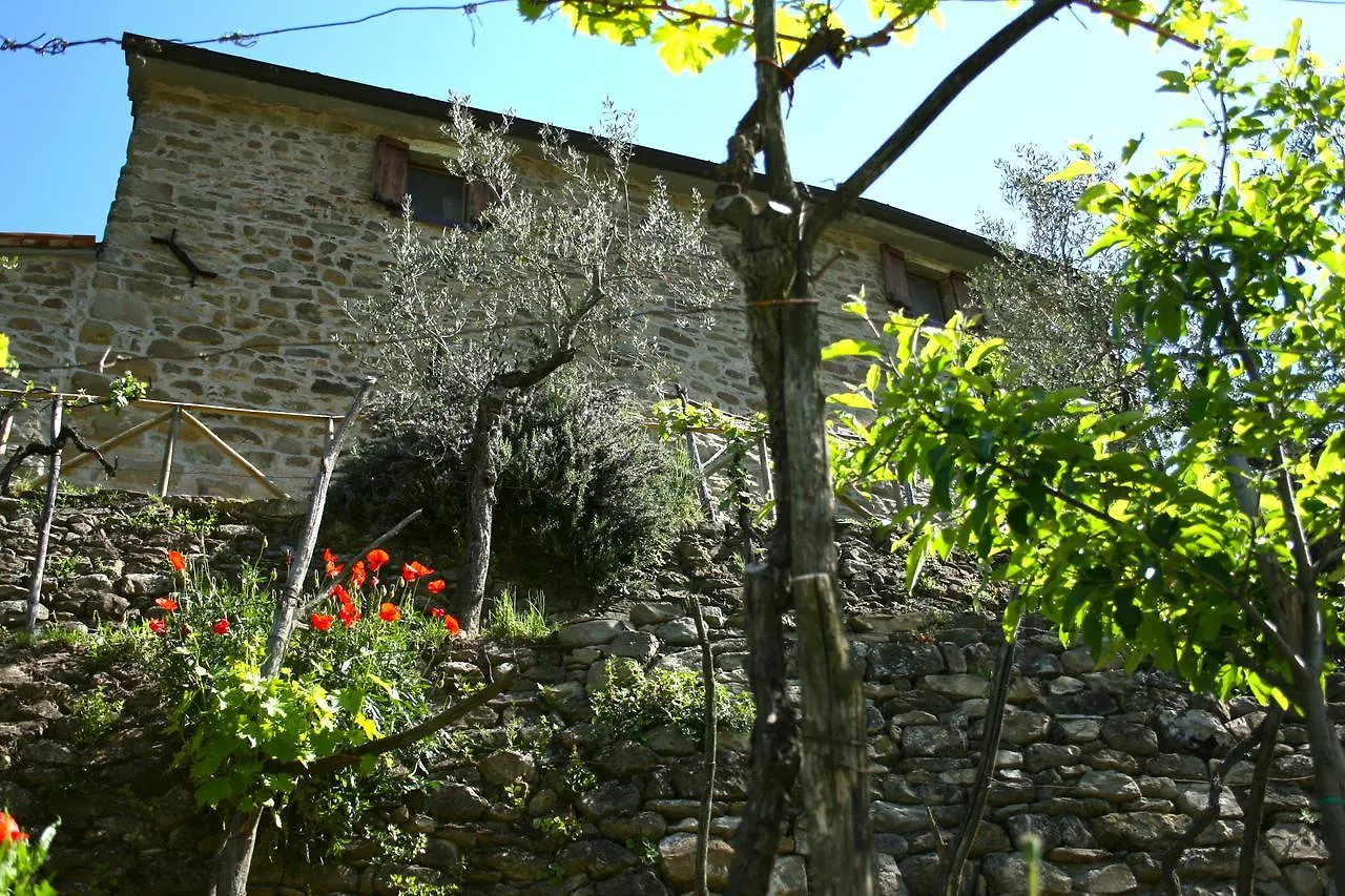 Casa Toppole Anghiari