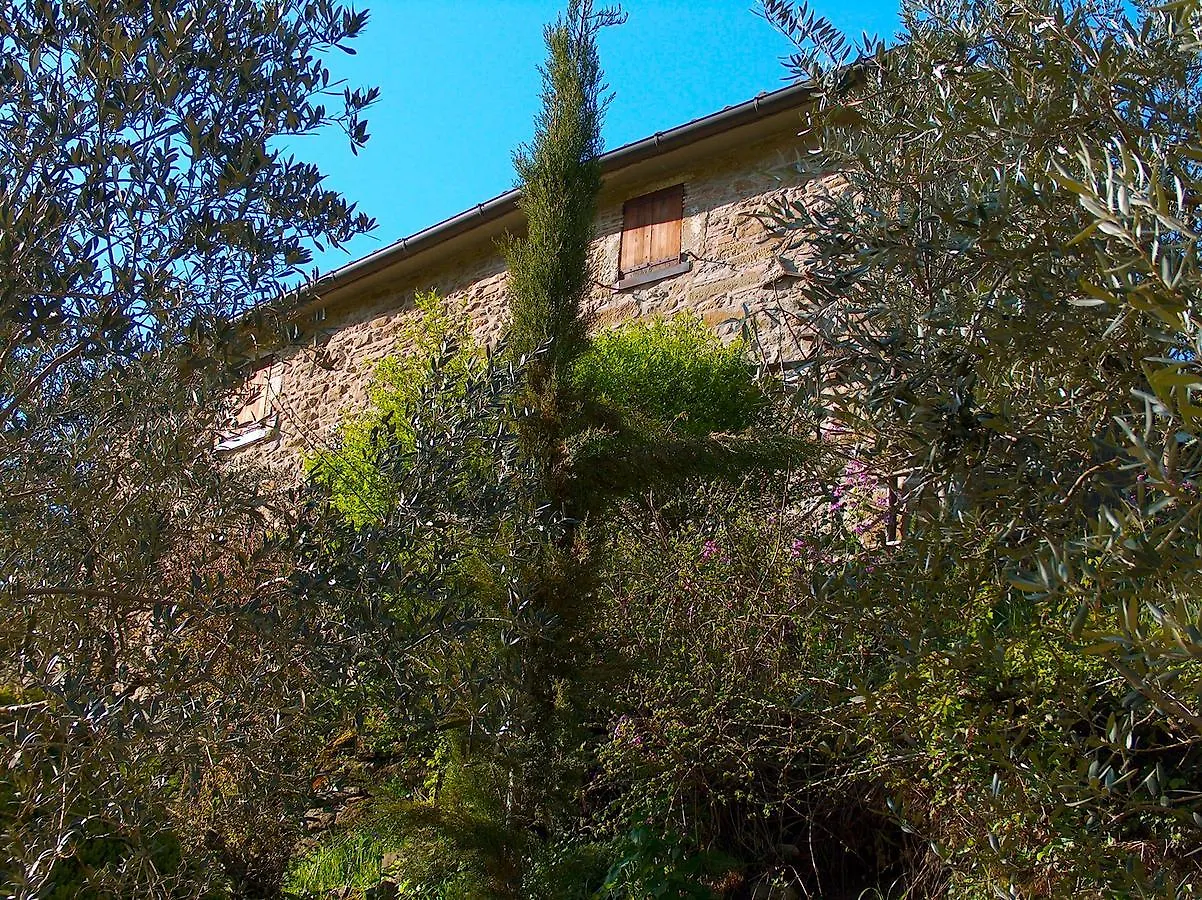 Holiday home Casa Toppole Anghiari
